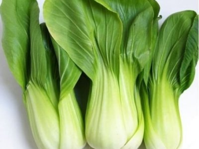 Rau cải chíp ( cải thìa)