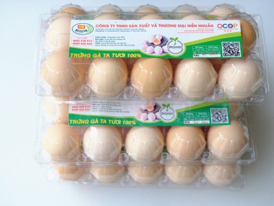 Trứng gà hữu cơ hộp 10 quả